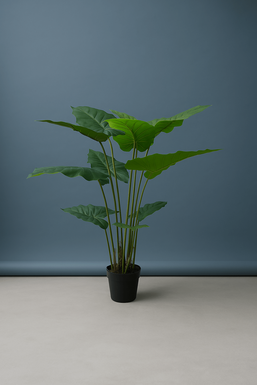 Copilot_20250726_101356-1