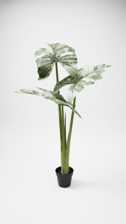 Artificial Alocacia Plant 165cm Green – 3 Trunks with Cement Potting Vase