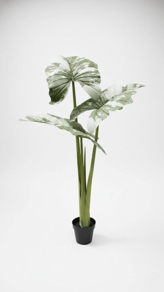 Artificial-Alocacia-Plant-165cm-Green-–-3-Trunks-1