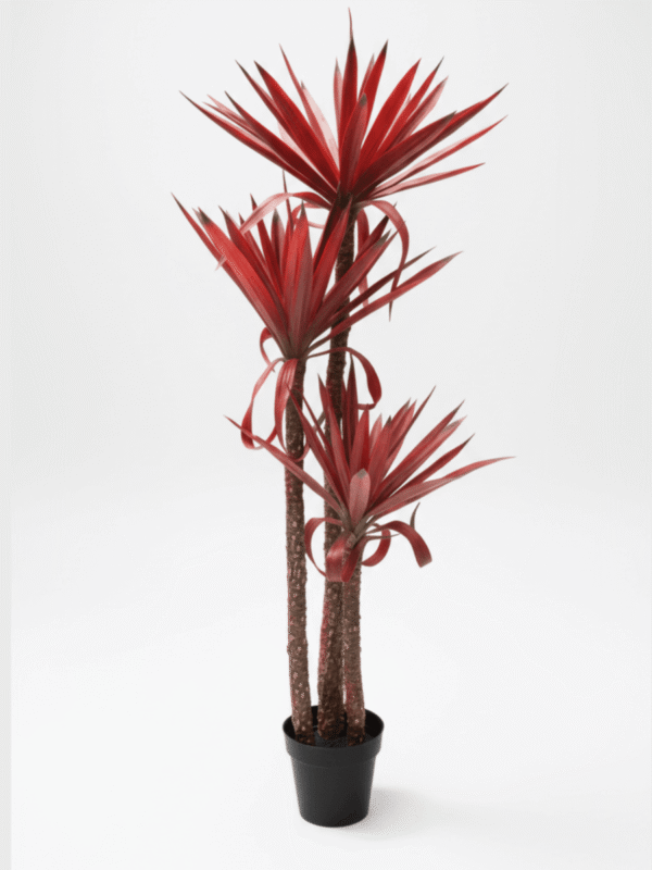 Untitled-design-31-1-600x800