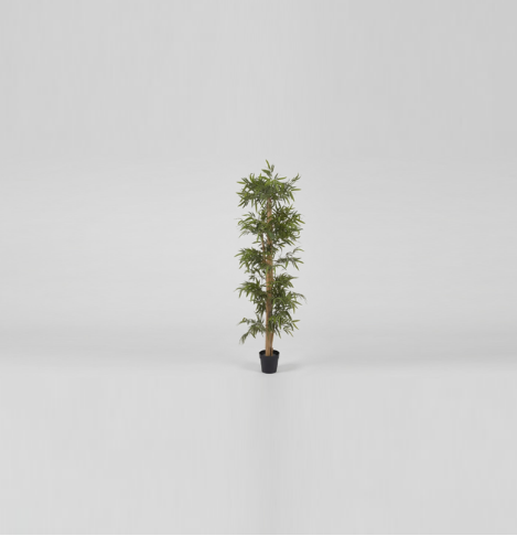 Tramast Planters 1