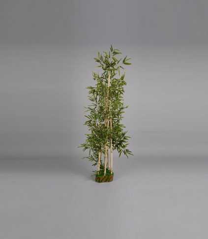 Tramast Planters 2